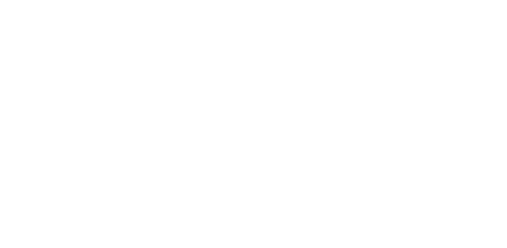 La Place des Ricochets - logo en blanc